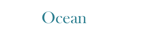 1211 Ocean Ave. Mantoloking, NJ 08738